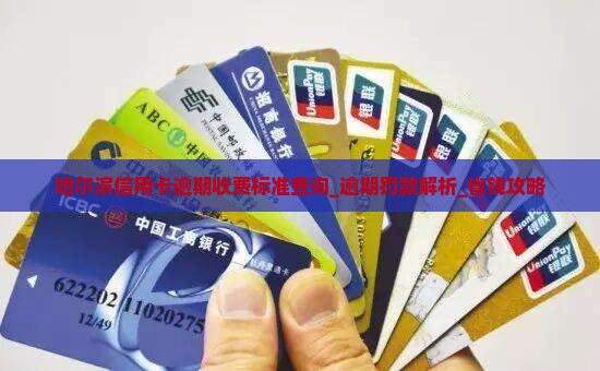 哈尔滨信用卡逾期收费标准查询