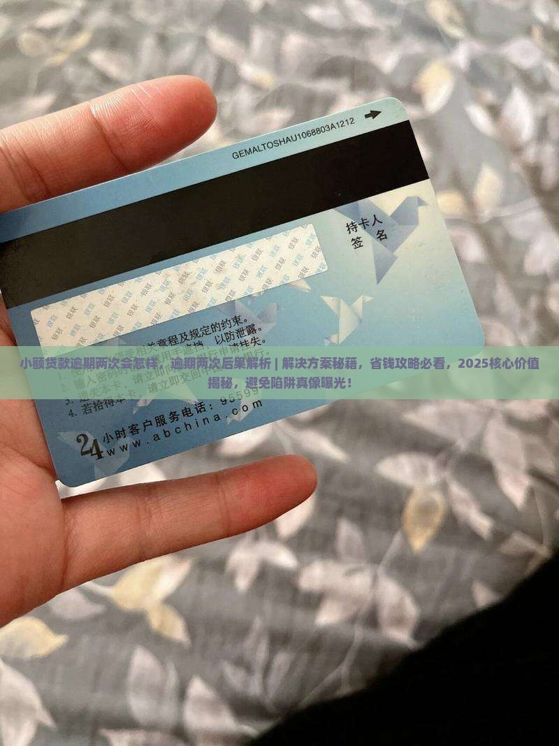 小额贷款逾期两次会怎样