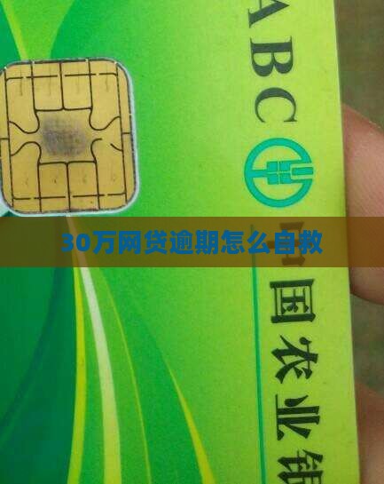 30万网贷全面逾期怎么应对