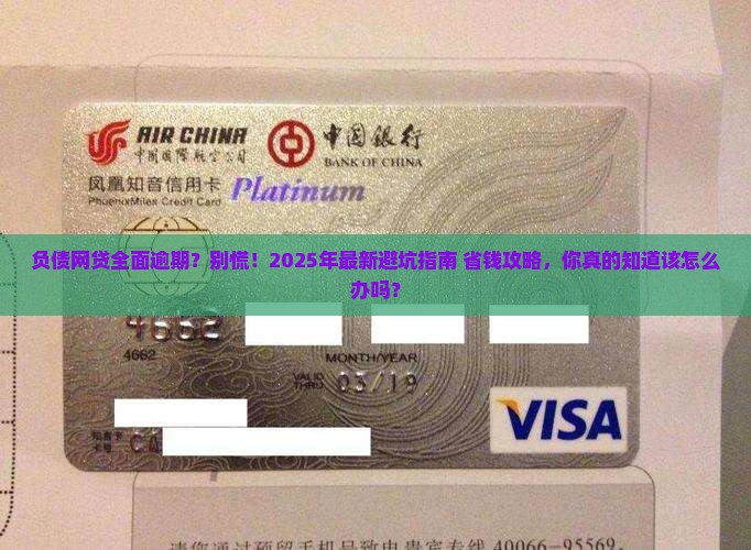 负债网贷全面逾期应该如何处理