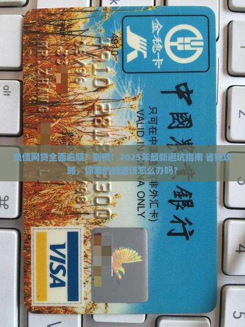 负债网贷全面逾期应该如何处理