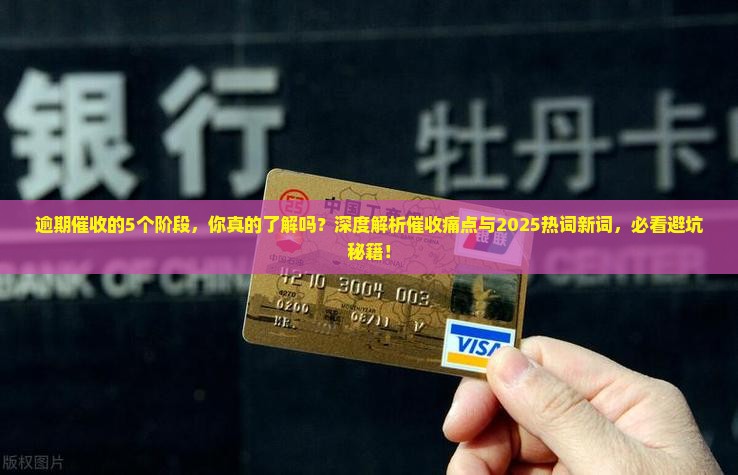 逾期催收的5个阶段