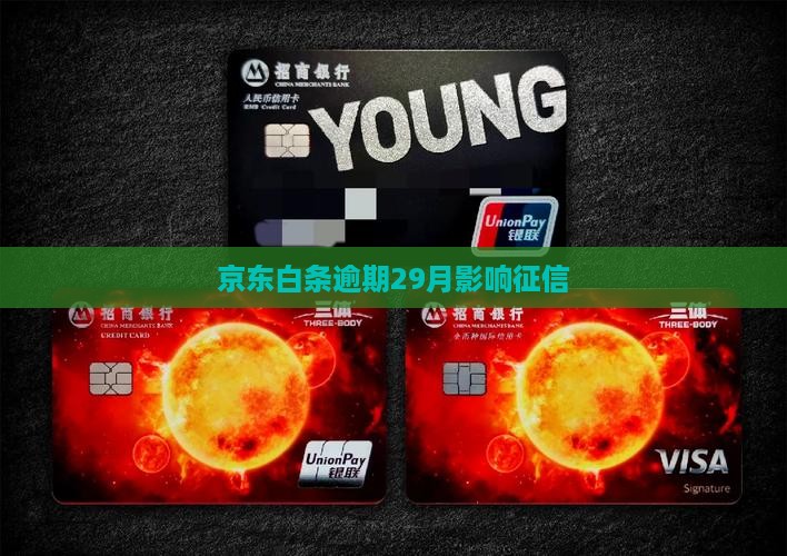 京东白条逾期29月