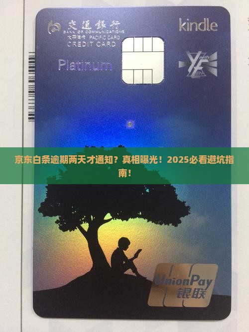 京东白条逾期两天才通知怎么办