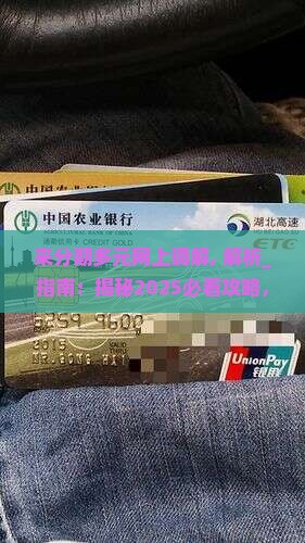 来分期多元网上调解