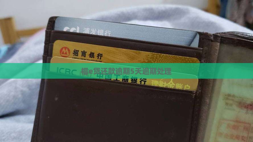 福e贷还款逾期5天