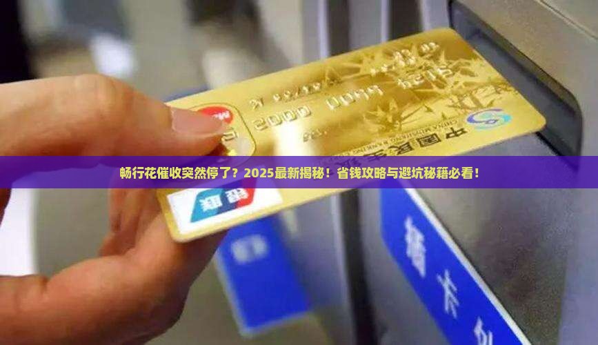 畅行花停止催收流程
