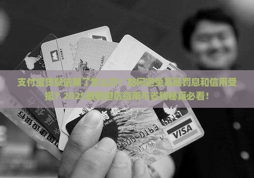 支付宝贷款逾期如何处理有效方法