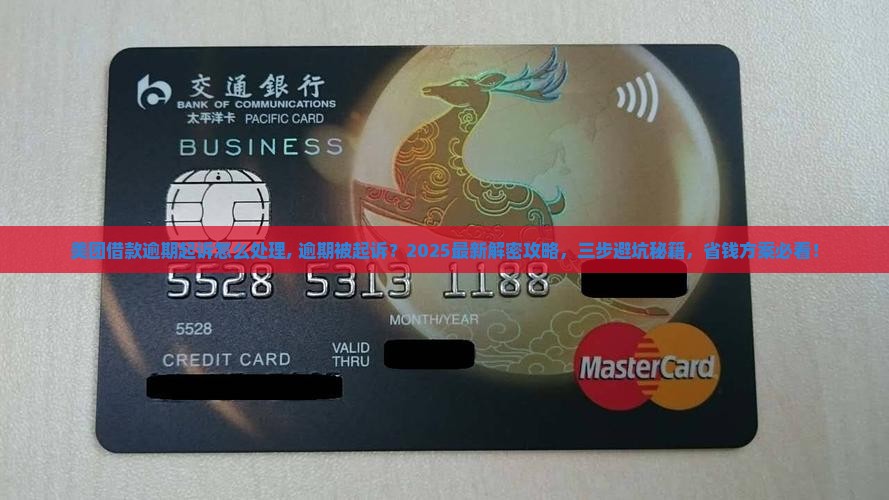 美团借款逾期起诉怎么处理