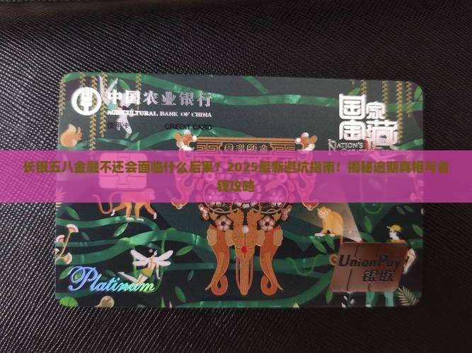 长银五八金融不还会面临什么后果