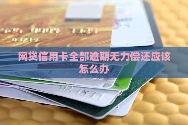 网贷信用卡全部逾期无力偿还应该怎么办