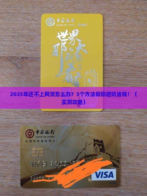 多家网贷还不上了怎么办
