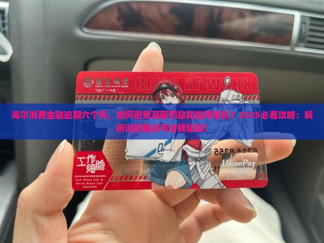 海尔消费金融逾期六个月