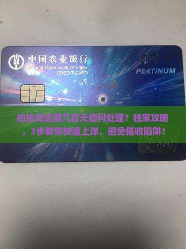 拍拍贷逾期几百天如何处理