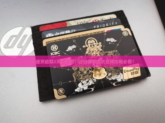 光速贷逾期2天