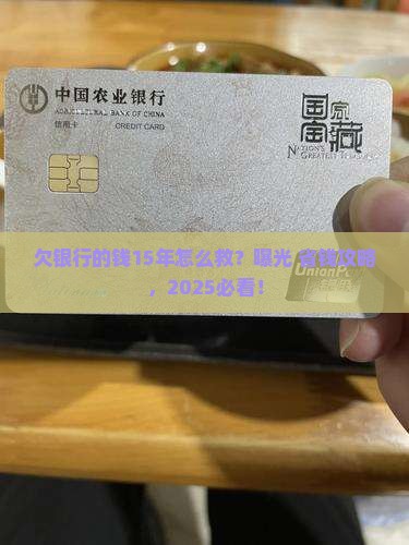 欠银行的钱15年如何解决
