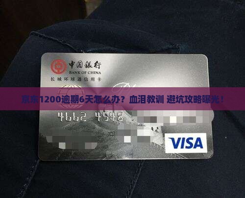 京东白条一千二逾期六天如何处理