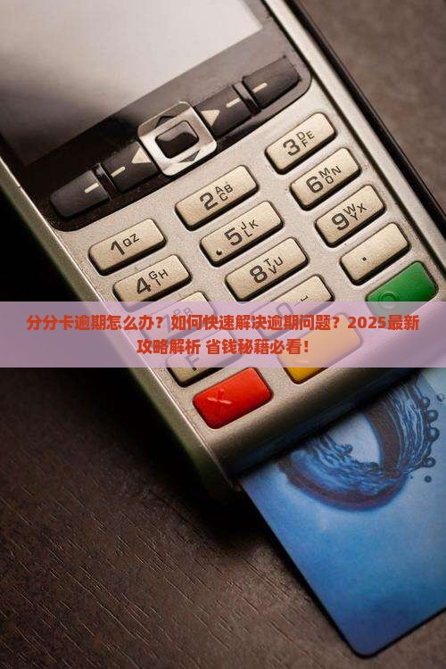 白条分分卡逾期