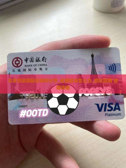 众安贷逾期起诉案例分享