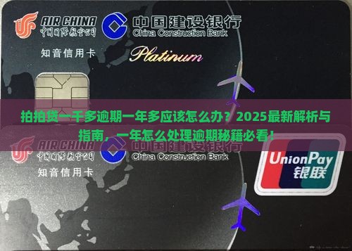拍拍贷一千多逾期一年多应该怎么办