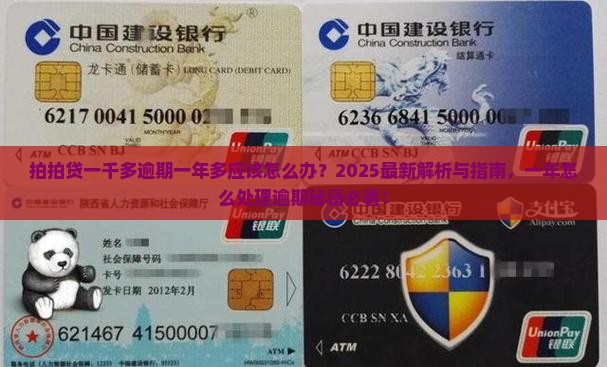 拍拍贷一千多逾期一年多应该怎么办