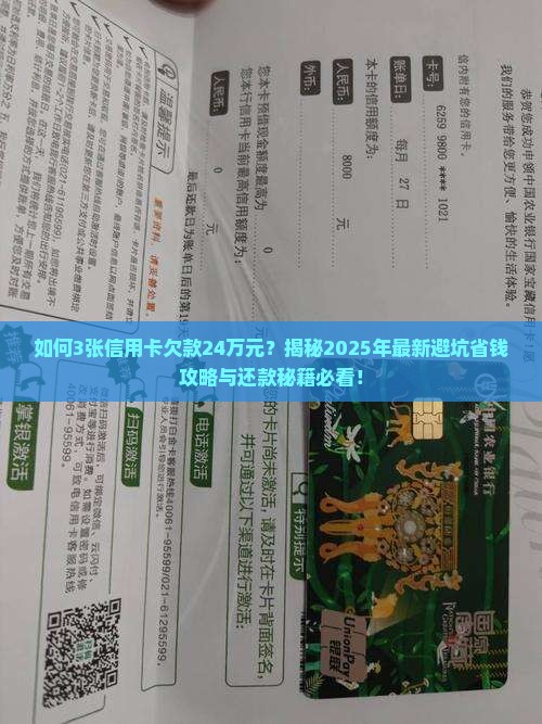 3张信用卡欠款24万元如何还清