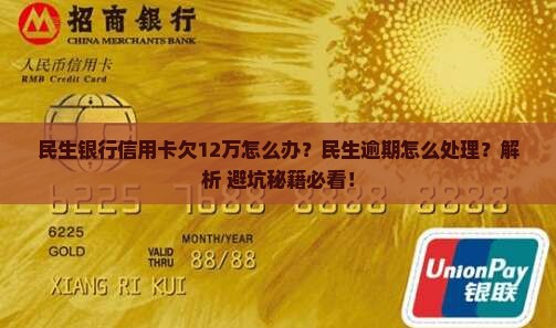 民生银行信用卡欠12万怎么办