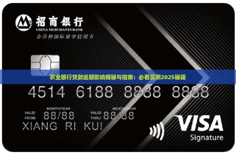 农业银行贷款逾期容度有哪些影响