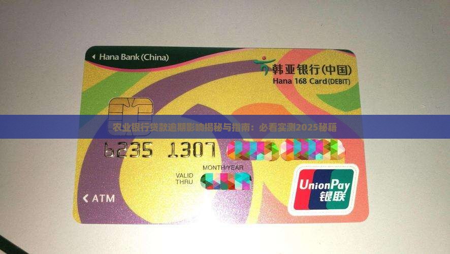 农业银行贷款逾期容度有哪些影响