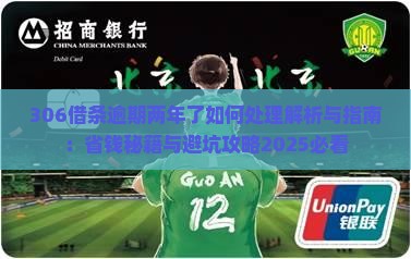 306借条逾期两年了如何处理