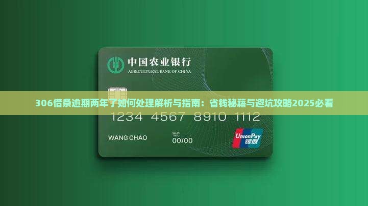 306借条逾期两年了如何处理