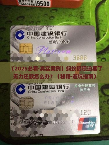 蚂蚁借贷无力偿还应如何处理
