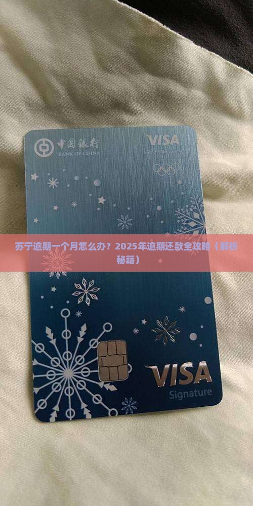 苏宁易购逾期一个月怎么办