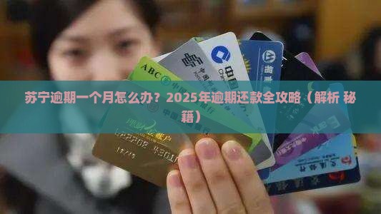 苏宁易购逾期一个月怎么办