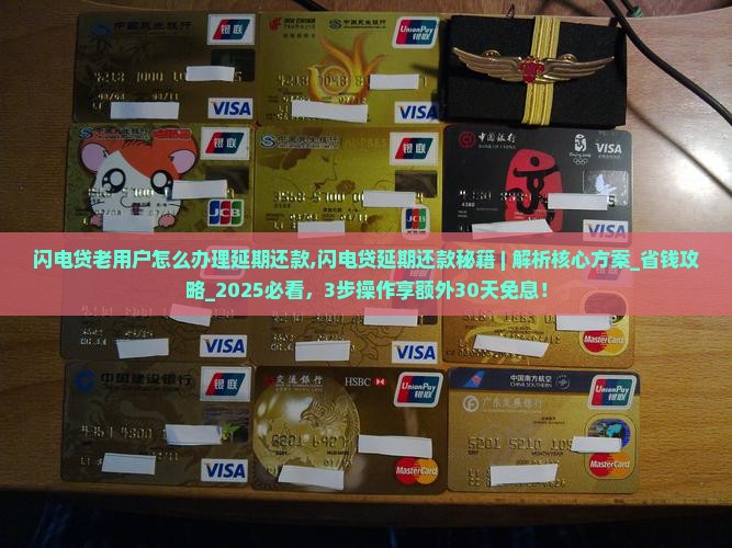 闪电贷老用户怎么办理延期还款