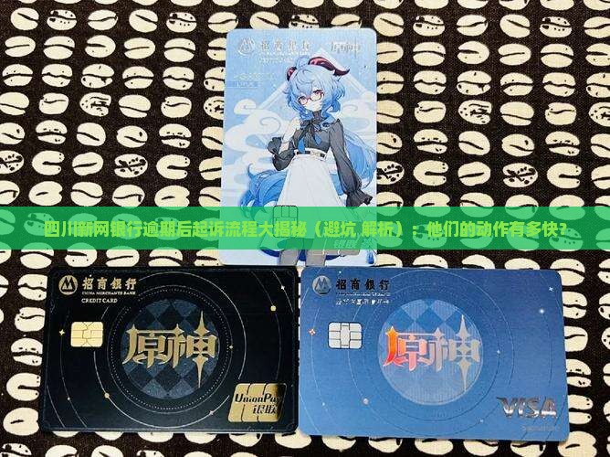四川新网银行逾期多久起诉程序是怎样的