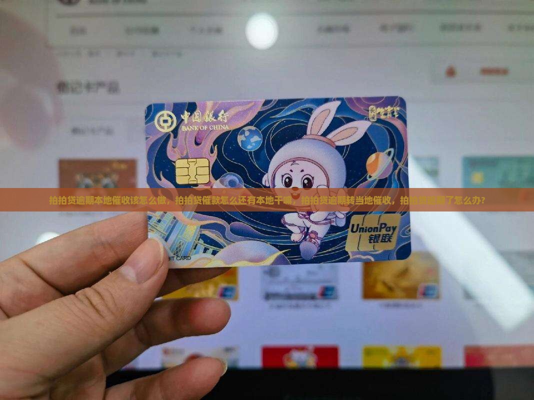 拍拍贷逾期本地催收该怎么做