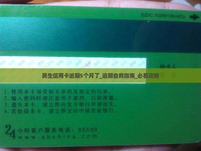 民生信用卡逾期5个月了