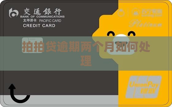 拍拍贷逾期两个月如何处理