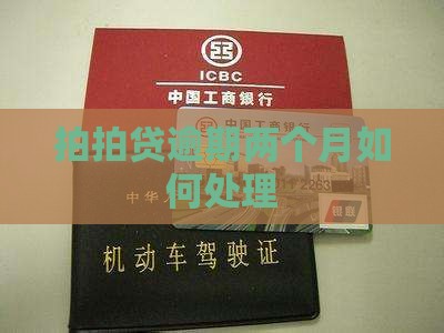 拍拍贷逾期两个月如何处理