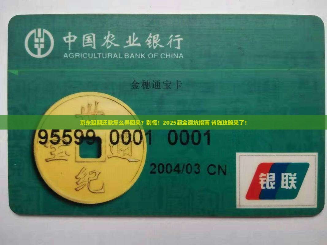 京东延期还款怎么弄回来