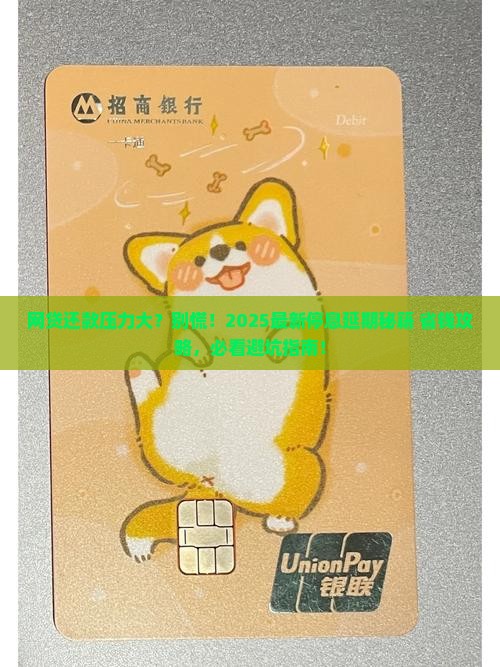 网贷怎么办理停息和延期还款业务