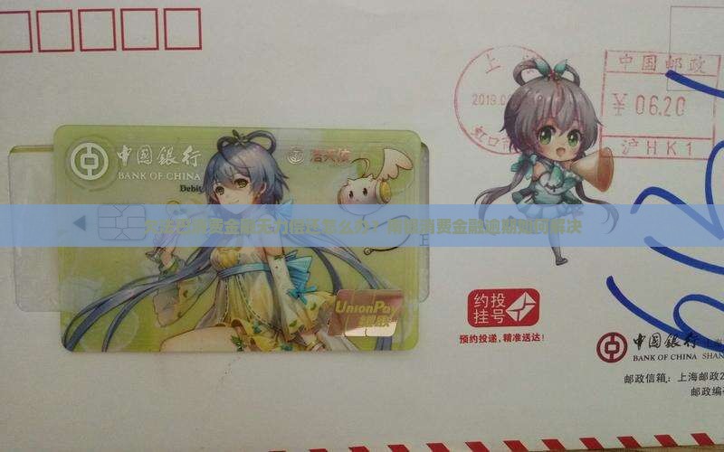 欠法巴消费金融无力偿还怎么办