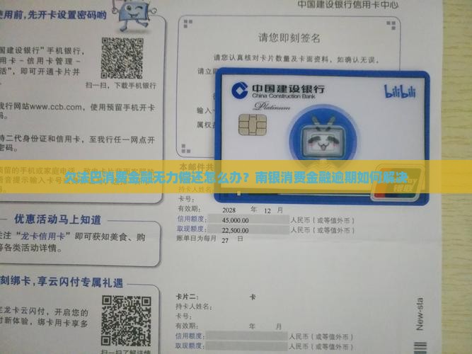 欠法巴消费金融无力偿还怎么办