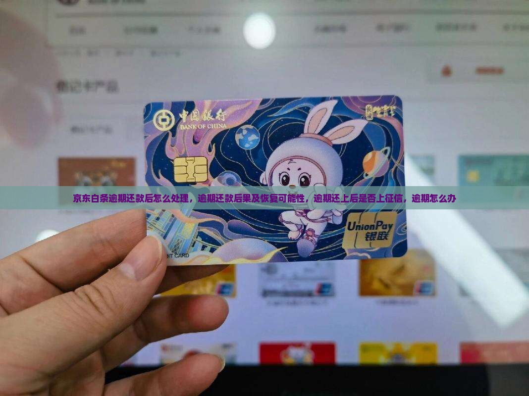 京东白条逾期还款后怎么处理