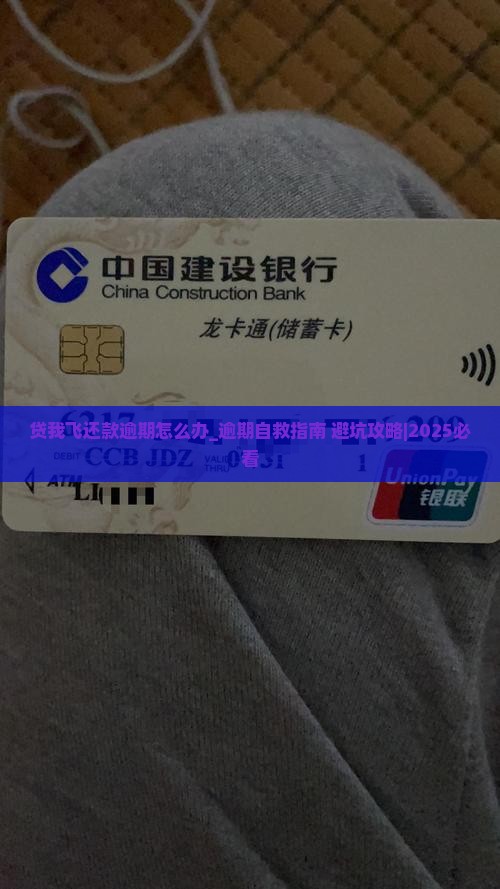 贷我飞还款逾期怎么办