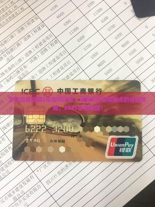 京东白条逾期2年如何还清