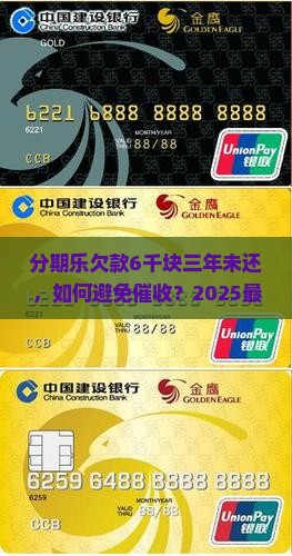 分期乐欠了6千块三年没还怎么办