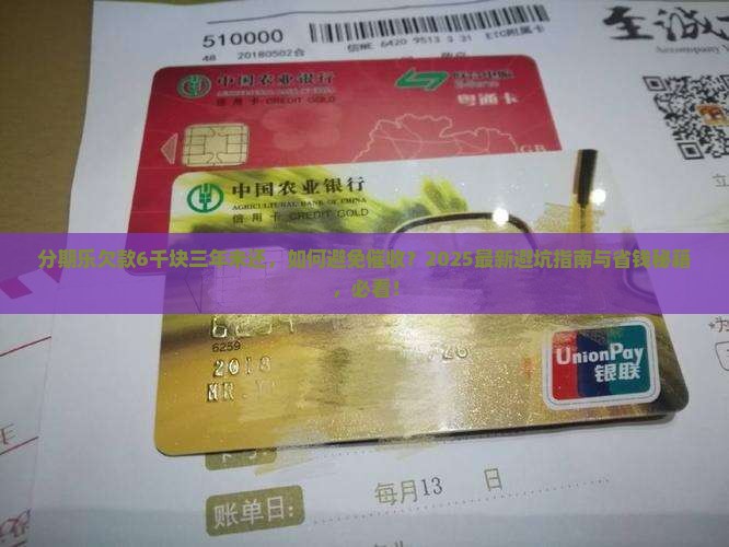 分期乐欠了6千块三年没还怎么办