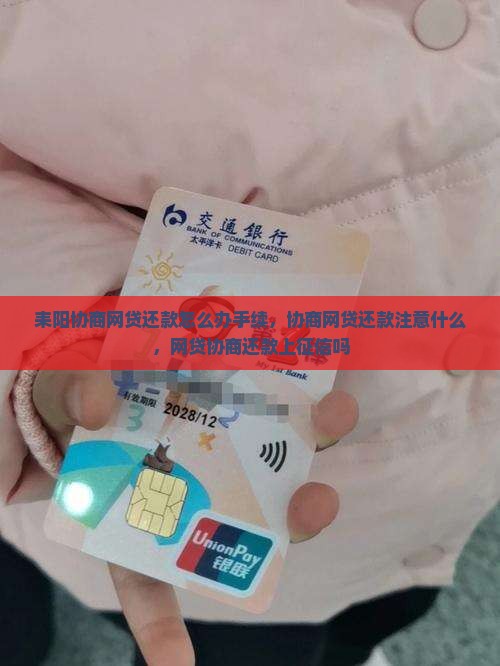 耒阳协商网贷还款怎么办